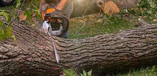 Lawn Irrigation Installation and Maintenance in Derma, MS